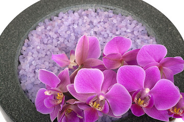 Image showing Salt and Orchid