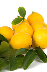 Image showing Organic Lemons