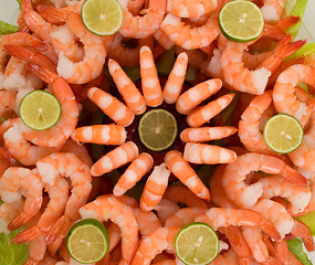 Image showing Shrimp