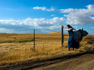 Image showing Windy Day