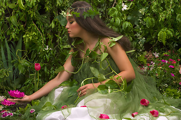 Image showing Enchanted Garden