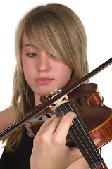 Image showing Violin