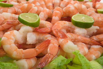 Image showing Shrimp