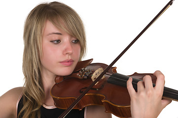 Image showing Violin