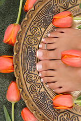 Image showing Pedicure