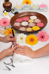 Image showing Manicure Spa