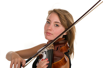 Image showing Violin