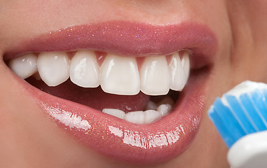 Image showing Healthy Teeth