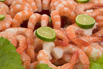 Image showing Shrimp