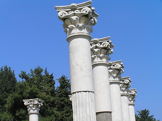 Image showing Columns of Apollo's temple