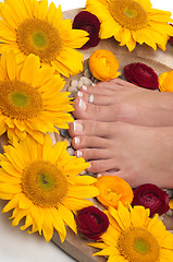 Image showing Pedicure Spa