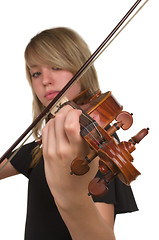 Image showing Violin