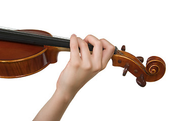 Image showing Violin