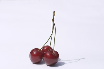 Image showing Cherries