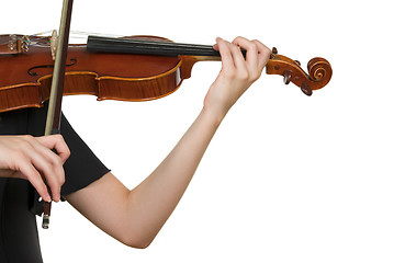 Image showing Violin