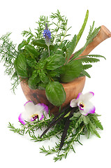 Image showing Herbal Therapy