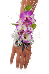 Image showing Orchid Corsage