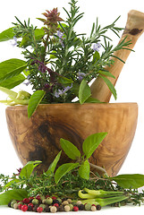 Image showing Herbs