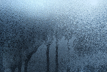 Image showing water drops on glass