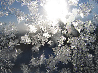 Image showing frost and sun