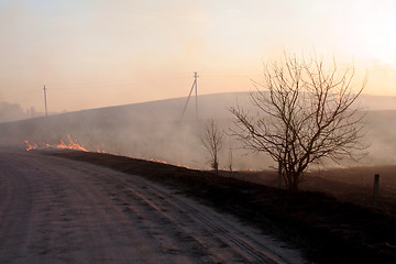 Image showing Fire in the field