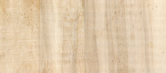 Image showing A background wood