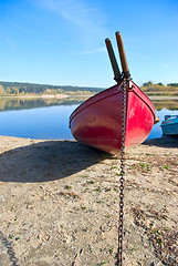 Image showing Debug with paddles on the beach