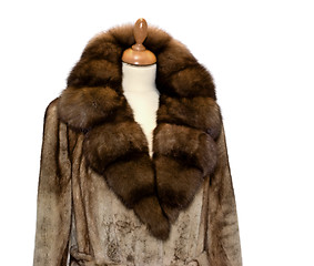 Image showing Fur Coat