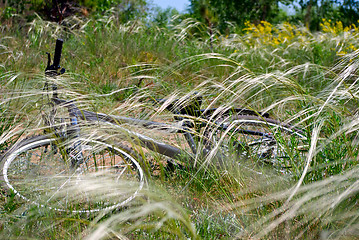 Image showing bicycle lying on the grass