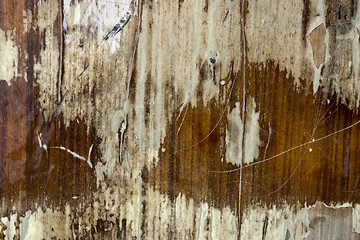 Image showing vintage wood texture