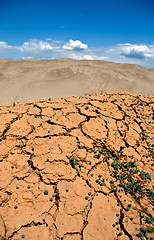 Image showing cracked earth, a desert