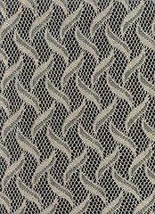 Image showing Lacy cloth a background sulfuric