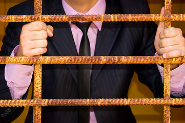 Image showing Man. Behind An Iron Lattice