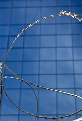 Image showing Barbed wire on a background of office building