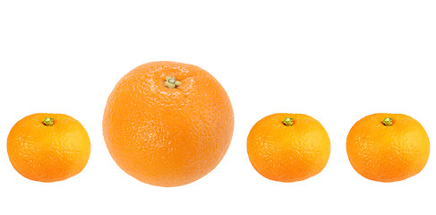 Image showing Orange and tangerine in row