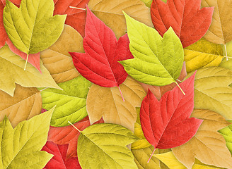 Image showing Abstract Background with Group of Autumn Leafs