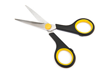 Image showing Scissors