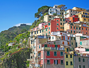 Image showing Italy. Cinque Terre. Riomaggiore village 