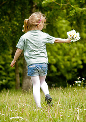 Image showing picking flowers