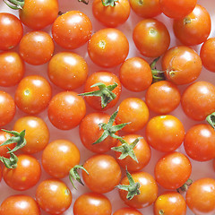 Image showing Cherry Tomatoes