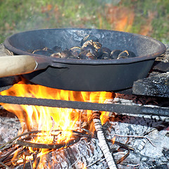 Image showing Barbecue