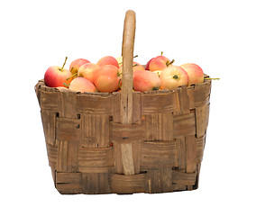 Image showing Crop of apples.