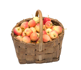 Image showing Crop of apples.