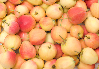 Image showing Apples.