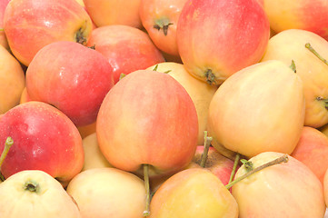 Image showing Apples.