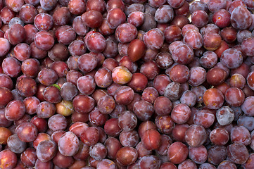 Image showing Plums.