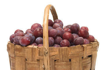 Image showing Crop of plums.