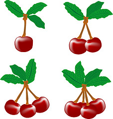 Image showing perfect sweet cherries with the leaf isolated on white