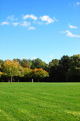 Image showing forest and garden under blue sky at fall