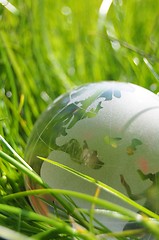 Image showing glass globe or earth in grass